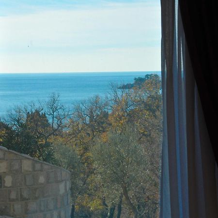 St.George Apartments Petrovac Room photo